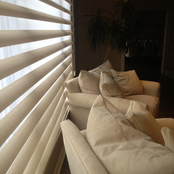 Hunter Douglas Pirouettes Side Angle - Roman Shades