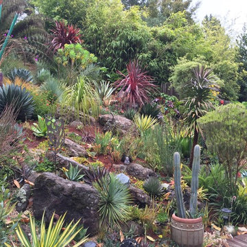 Kensington Collectors Garden