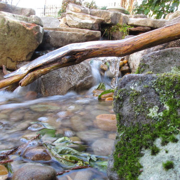 Backyard Waterfalls