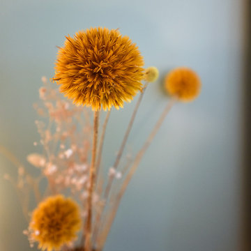 Salon - décoration