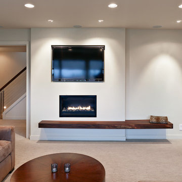 Somerset Basement Inset Tv