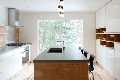 Example of a minimalist kitchen design in Edmonton