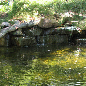 Aquatic Sanctuary