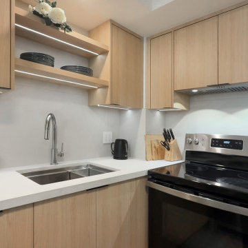 Condo Renovation in Toronto
