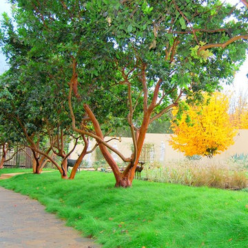 Contemporary/Modern Designs