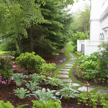 Side Yard