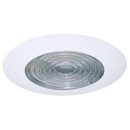 6" Fresnel Shower Trim