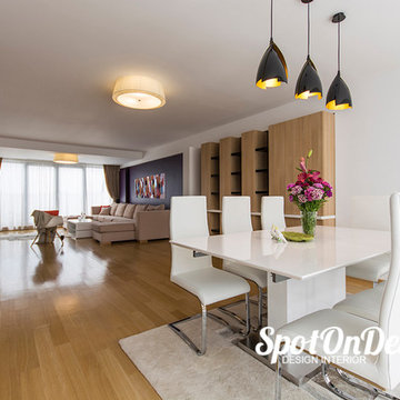 Duplex in Piata Domenii