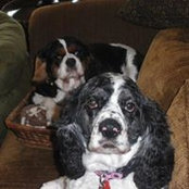 Lou Ann Terrell's photo