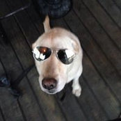 Christopher Jordan's photo