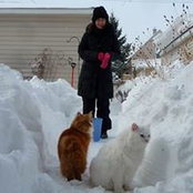 Kimberly Halley's photo