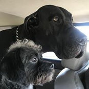 Natalie Klein's photo