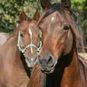Carol Markiewicz-Power's photo