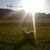Kerry Dixon's photo