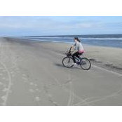 Alison Sherwood's photo