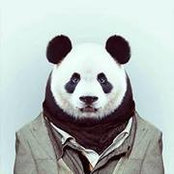Cameron Sanders's photo
