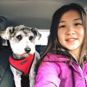 Tina Huang's photo