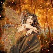 Brenda Devitt's photo