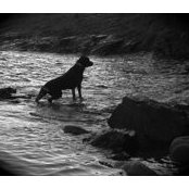 Luke Hanson's photo