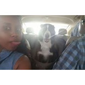 Finhas Tedla's photo