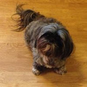 Julie Bobino McLaughlin's photo