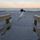Jodi Brown's photo
