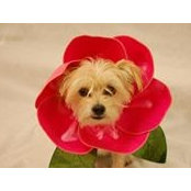 Blake Williams's photo