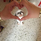 Foto de June JuNe
