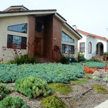 drought tolerant conversion with color