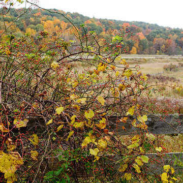 Autumn Decor & New England Road Trip