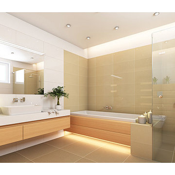 Bathroom Mirror & Frameless Shower Doors