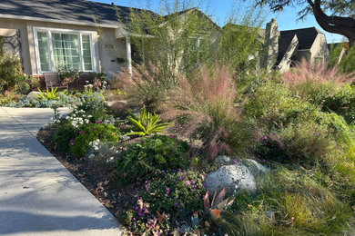 This is an example of an eclectic drought-tolerant and full sun front yard concrete paver garden path in Los Angeles for spring.
