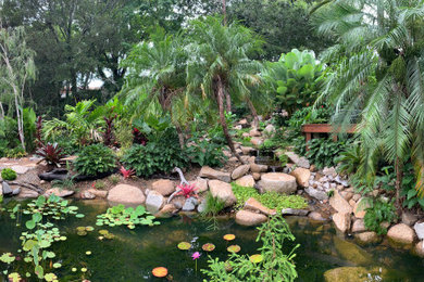 Photo of a tropical garden in Brisbane with with pond.