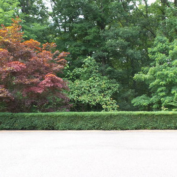 Formal French Garden
