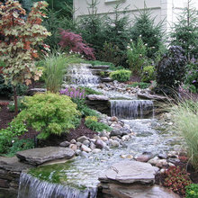 Water feature