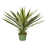 House of Silk Flowers, Inc. - Artificial Large Yucca Plant - This artificial yucca succulent arrangement is hand-crafted by House of Silk Flowers. Show your sense of style by adding this to an empty corner in any room of your home or to add a little life to your office. This contains a professionally-arranged artificial yucca succulent securely "potted" in a non-decorative nursery pot (6" tall x 8" diameter). The plant has been arranged to allow 360-degree viewing. The overall dimensions are measured leaf tip to leaf tip, from the bottom of the pot to the tallest leaf tip: 24" tall x 22" diameter. Measurements are approximate, and will be determined by your final shaping of the plant upon unpacking it. No arranging is necessary, only minor shaping, with the way in which we package and ship our products. This product is only recommended for indoor use. Our unique patent pending design allows you to purchase one planter with multiple trees to change your design as your mood or the seasons changes.