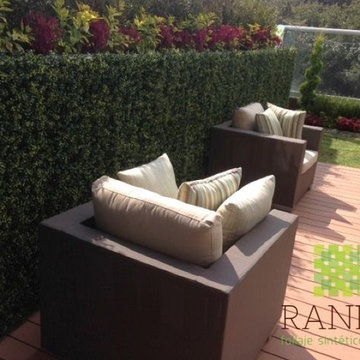 Ranka Lasting Greenery
