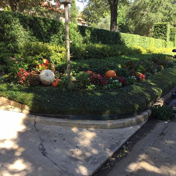 Driveways & Entry Landscape