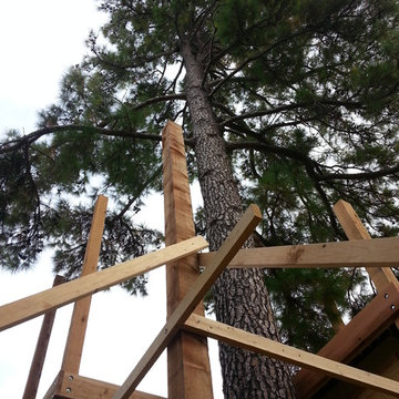 Dunn Treehouse