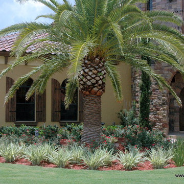 Shutters