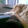 ali_quarforth