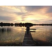 Pablo Barriga's photo
