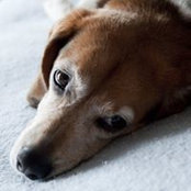 Joe Orozco's photo
