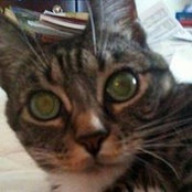 Helen Cross's photo