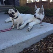 Susan Rabichuk's photo