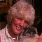 Bonnie Sandgren's photo