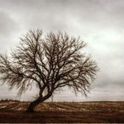 Deb Ellis's photo