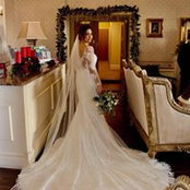 Stephanie Hamilton's photo