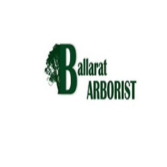 Ballarat Tree Removal Solutions