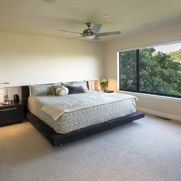 Hillcrest Custom Contemporary